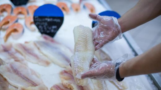 Gloved hands display a fish filet over ice at a market.