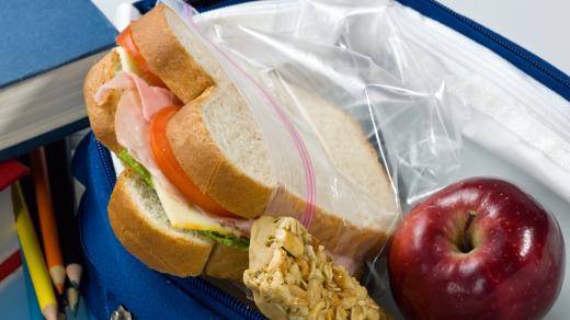 A packed lunch with a sandwich, granola bar, and apple.